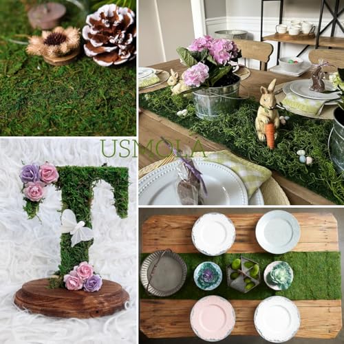 Moss Roll Dried Moss for Crafts