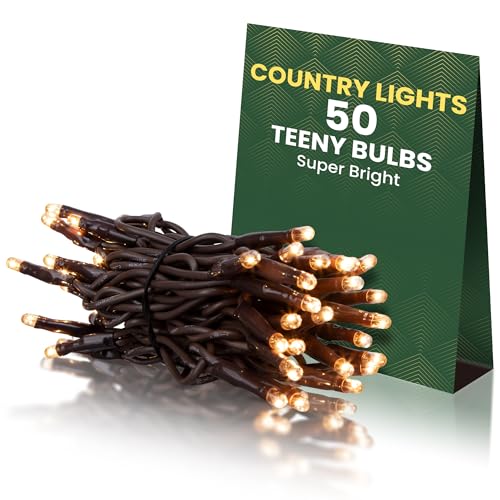 Incandescent Teeny Lights 50 ct