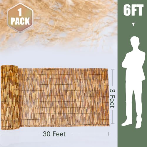 1 Pcs 3 x 30 ft Reed Fence Roller