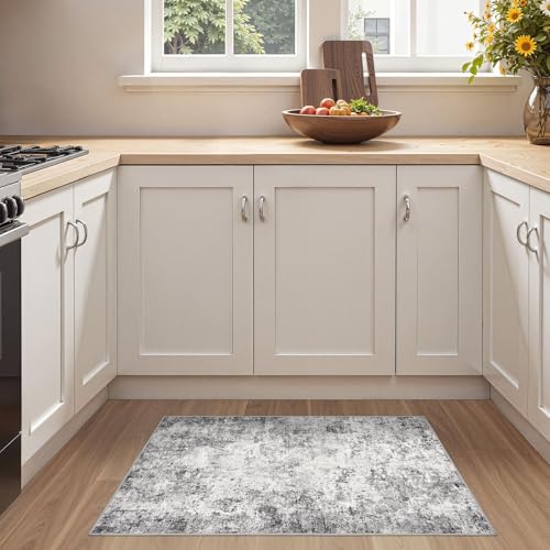 2x3 Entryway Area Rug