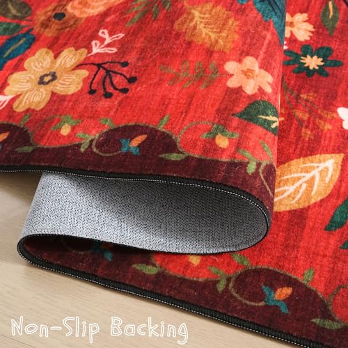 Door Mat 2x3 Area Rug Washable