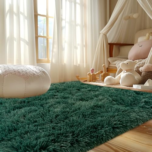5x7 Feet Shaggy Area Rug