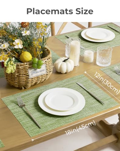 Bean Green Woven Placemats Set of 24 (24 Count)