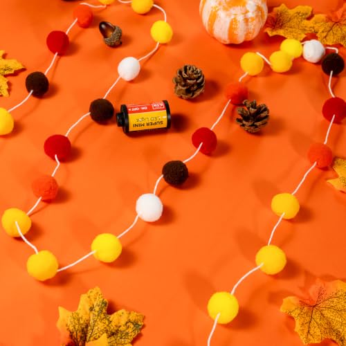 4 Pack Fall Felt Ball Garlands (26.5 Foot)