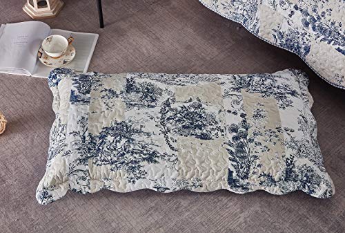 Blue Toile Quilt Set