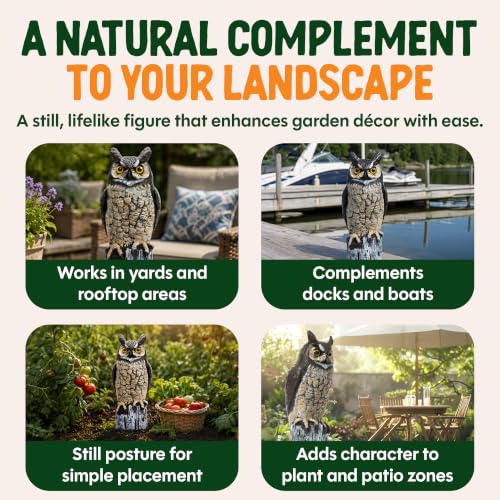 Lifelike Great Horned Owl Decoy Bird Repellent