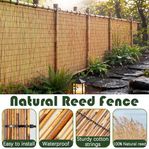 4 Pcs 4 x 16.4 ft Reed Fence Roller (4 Count)
