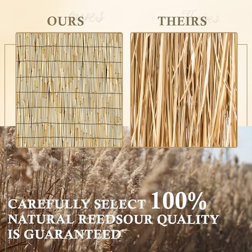 Natural 2 Pack 6FT X16.4FT Reed Fencing Roll Bamboo Privacy Screen (196.8 Sq Ft)