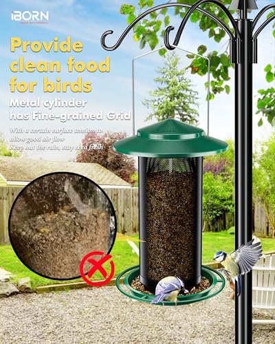 Bird Feeders for Outdoors