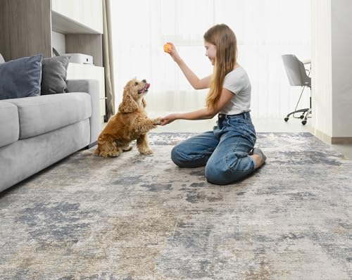 5x7 Area Rug Living Room Rugs