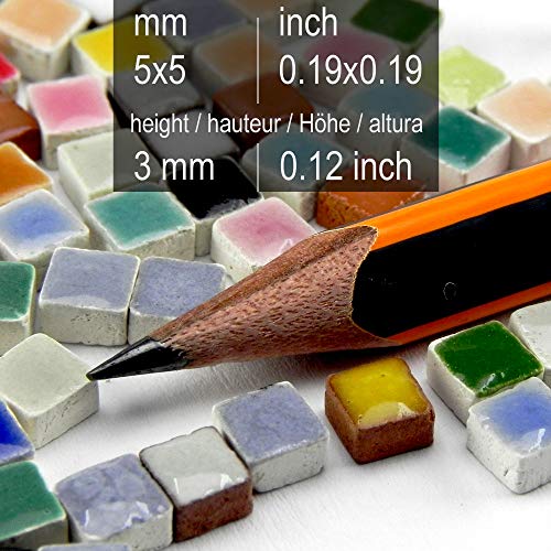 Do It Yourself Adult Mosaic Arts and Crafts Picture Tiles (1000 Count)
