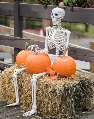 36" Halloween Skeleton