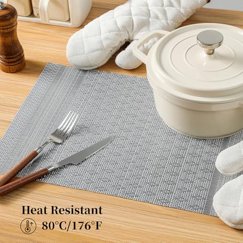 Lunar Grey Placemats Set of 8 (8 Count)