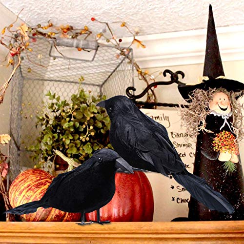 6 Pack Halloween Black Feathered Crows
