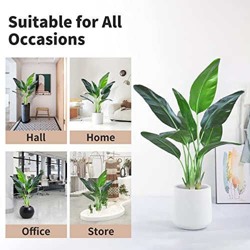 Artificial Bird of Paradise Plant