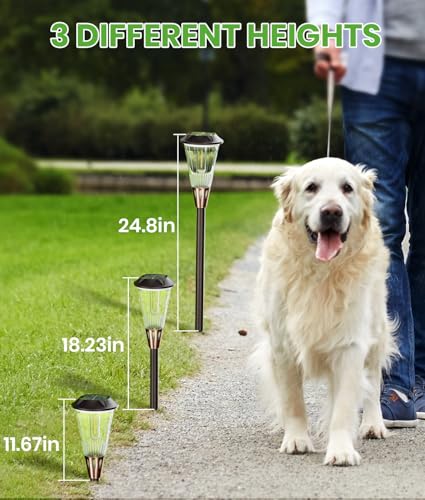Solar Pathway Lights Outdoor (6 Count)