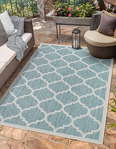 Outdoor Indoor Area Rug