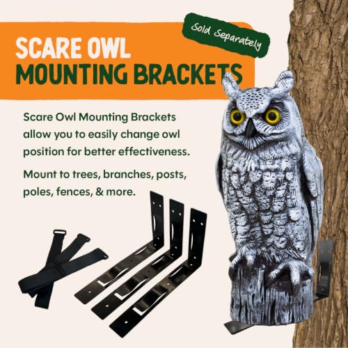 Fake Owl Decoy to Scare Birds Away from Gardens
