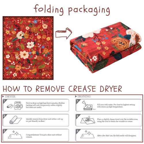 Door Mat 2x3 Area Rug Washable