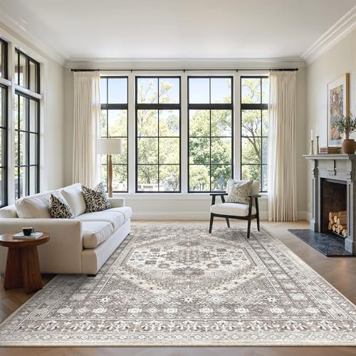 6x9 Area Rugs for Living Room