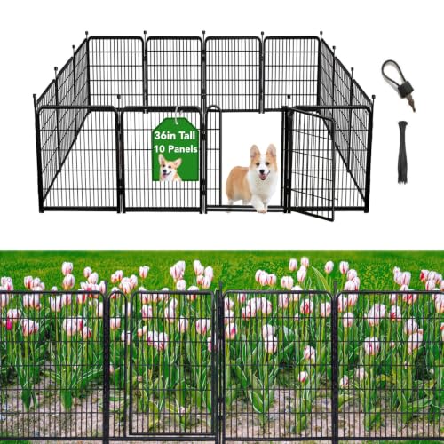 Garden Fencing 36 inch High (10 Count)