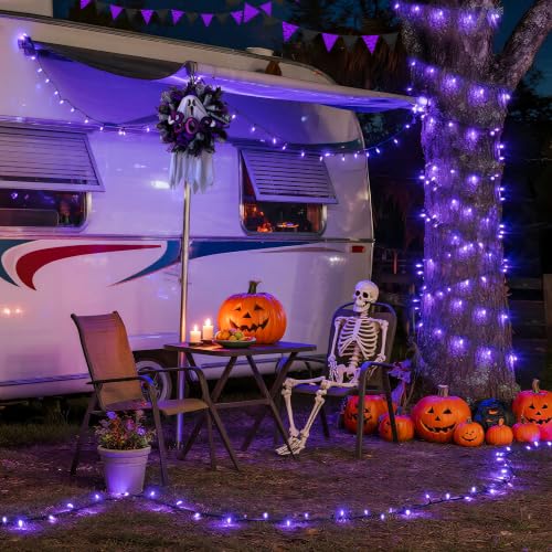 200 LED 66ft Halloween Lights