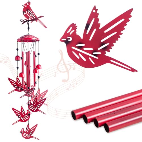 Cardinal for Women