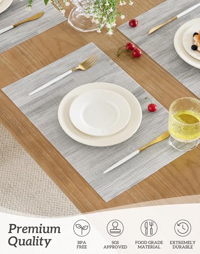 Lightsteel Black Placemats Set of 6 (6 Count)