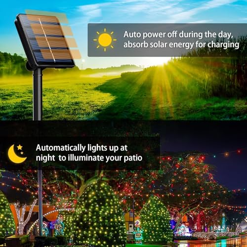 Solar String Lights Outdoor (6 Count)