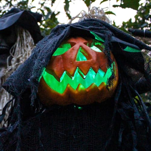 6.0 Ft Poseable Lighted Pumpkin Witch with Sound (68" Standing Pumpkin Man)