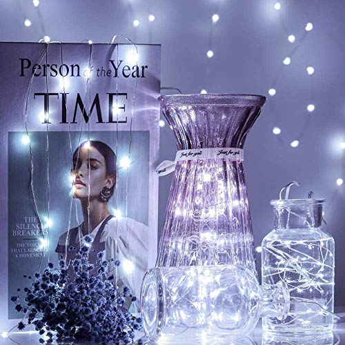 16 Pack Fairy Lights Battery Operated 7ft 20 LED String Lights Mini Twinkle Lights Silver Wire Firefly Starry Lights for DIY Mason Jar Wedding Centerpiece Table Party Christmas Decorations (16 Count)