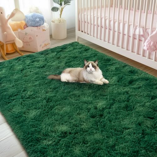 Fluffy Rug for Living Room Bedroom