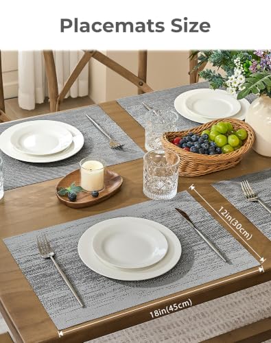 Grey Placemats (6 Count)