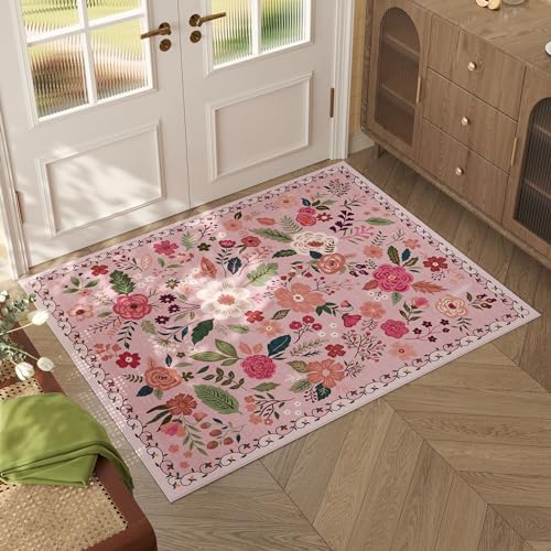 Door Mat 2x3 Area Rug Washable