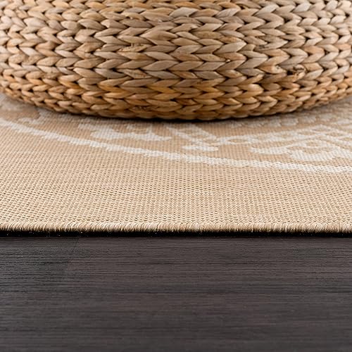 Outdoor Rug 8x10 Modern Area Rugs for Indoor and Outdoor Patios and Porches