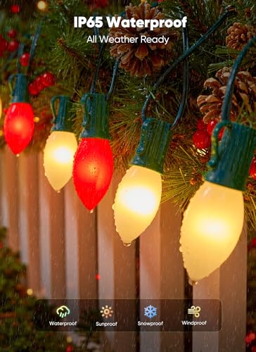 100Ft Christmas Lights Outdoor (100 Count)