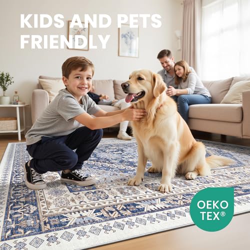 4x6 Area Rug for Entryway (10.7639 Sq Ft)