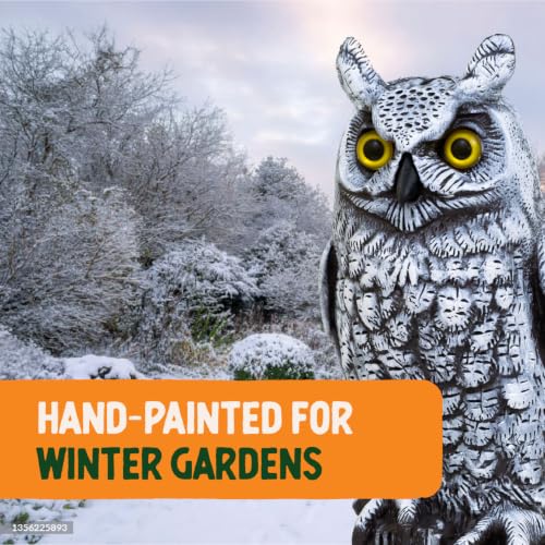 Fake Owl Decoy to Scare Birds Away from Gardens
