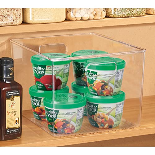 Storage Bin with Handles