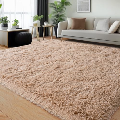Rugs for Living Room (56 Sq Ft)