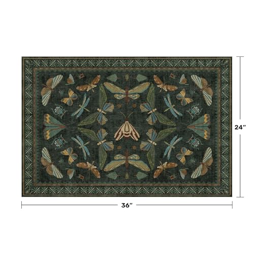2x3 Entry Way Rugs Indoor (6 Sq Ft)