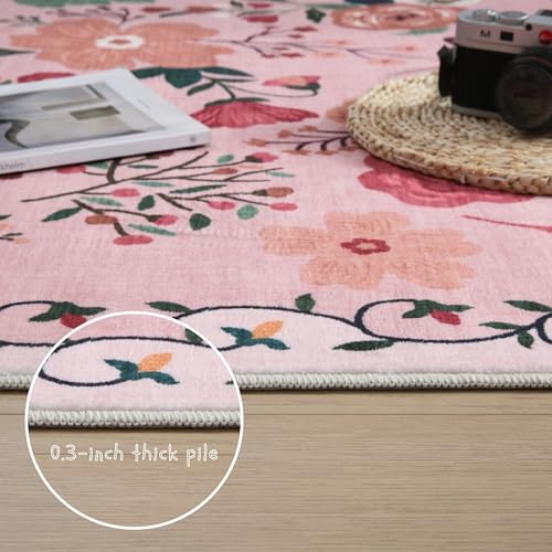 Door Mat 2x3 Area Rug Washable