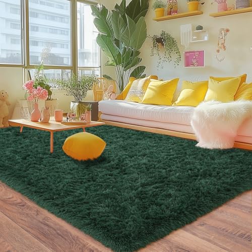 6x9 Feet Shaggy Area Rug (54 Sq Ft)