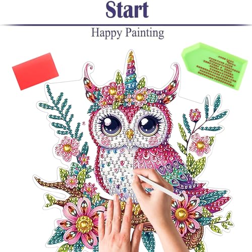 Diamond Painting Kits for Adults Beginners