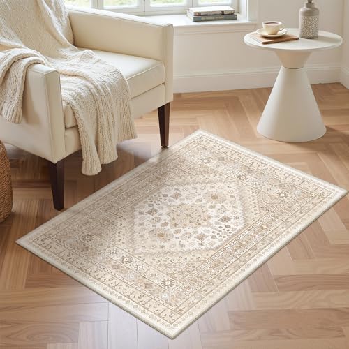 2x3 Rug Non Slip