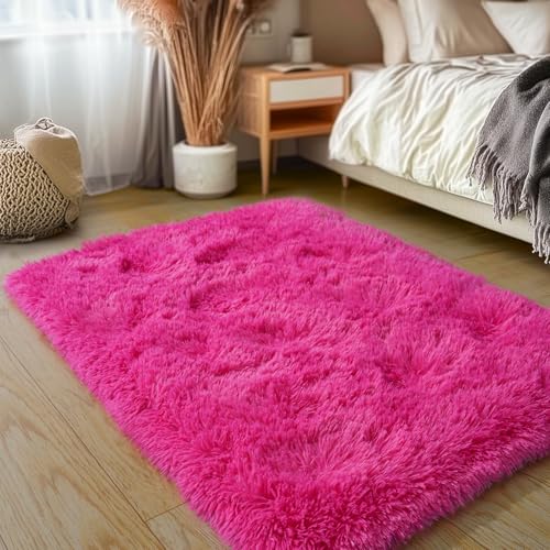 Soft Fluffy Rug for Girls Bedroom 2x3 Feet Hot Pink
