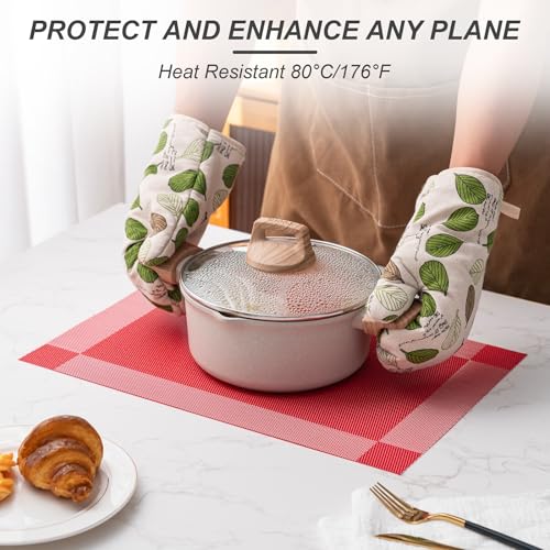 Placemats Set of 4 Washable IndoorB (4 Count)