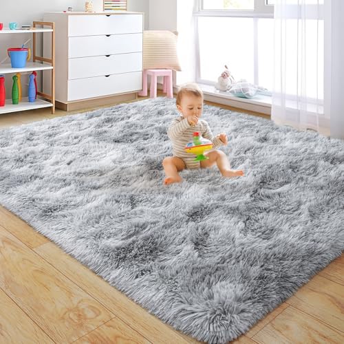 Rugs for Living Room