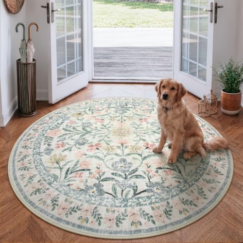 Round Washable Rug