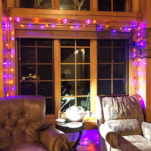 Purple and Orange Halloween Fairy String Lights (20 Foot)